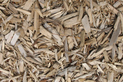 biomass boilers Ludworth